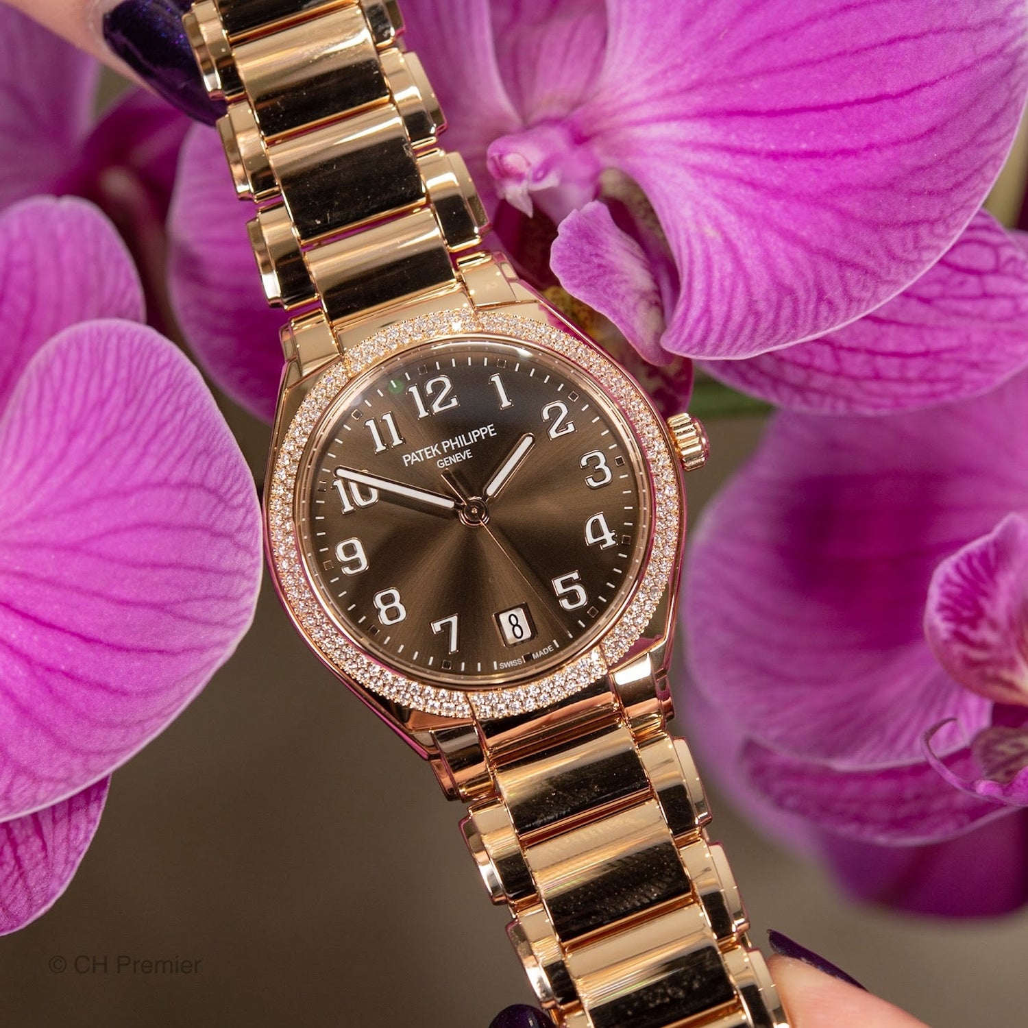 COLLECTION PATEK PHILIPPE – L’HÉRITAGE DU TEMPS