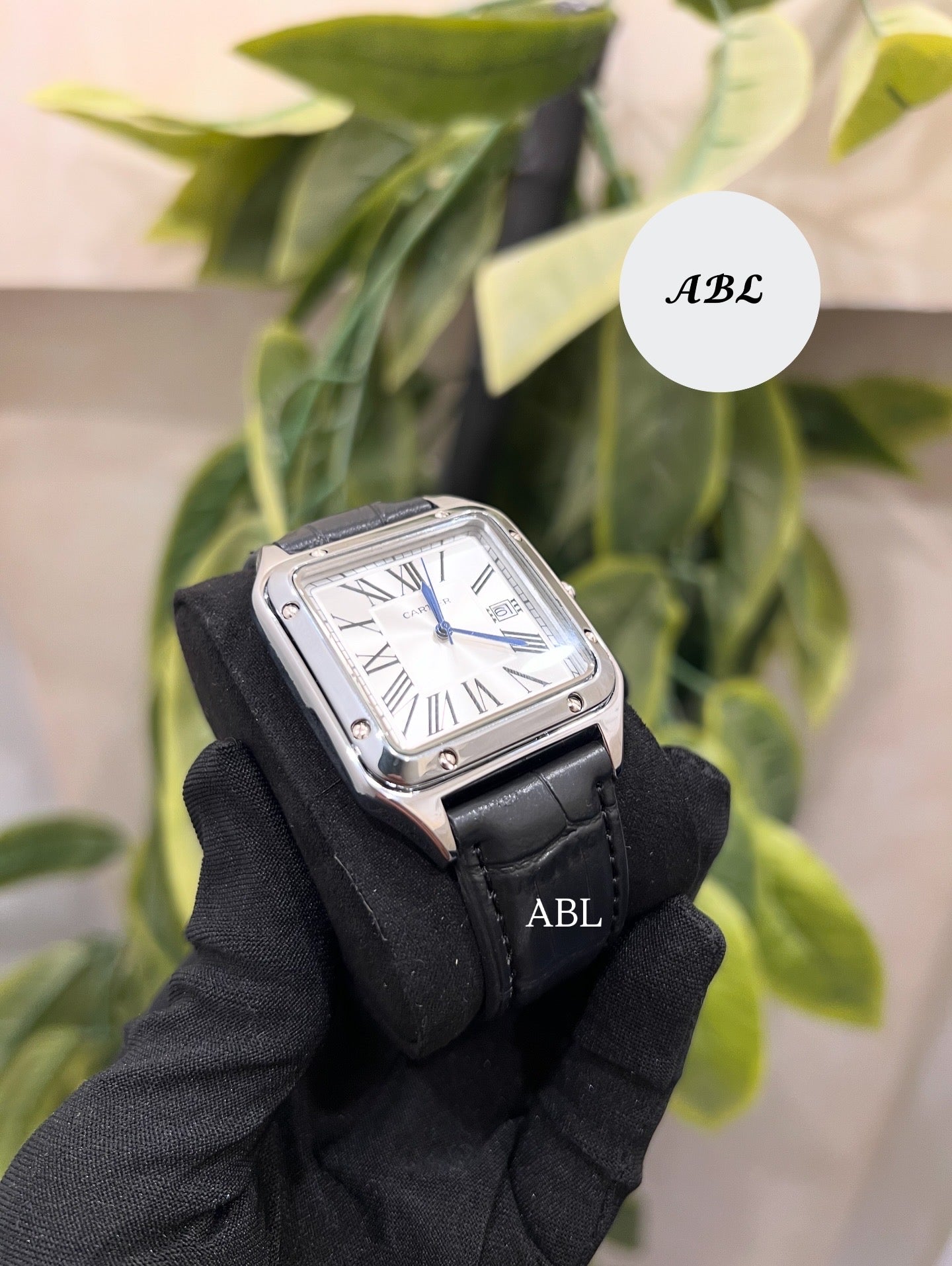 Cartier Santos