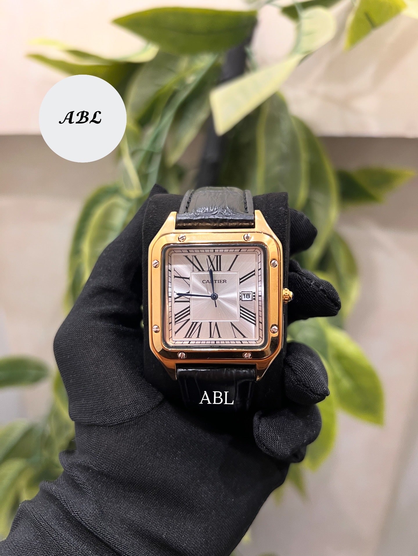 Cartier Santos