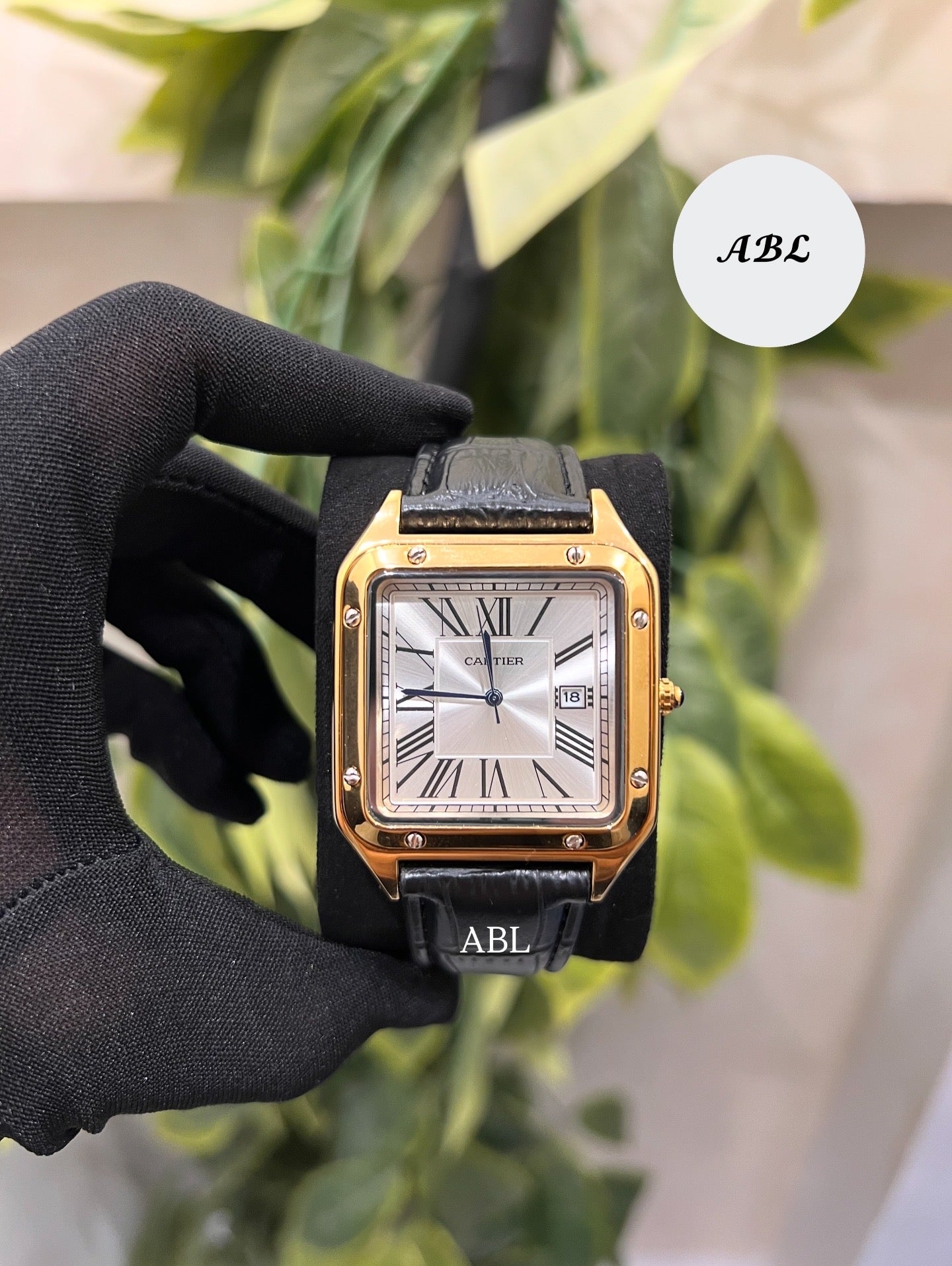 Cartier Santos
