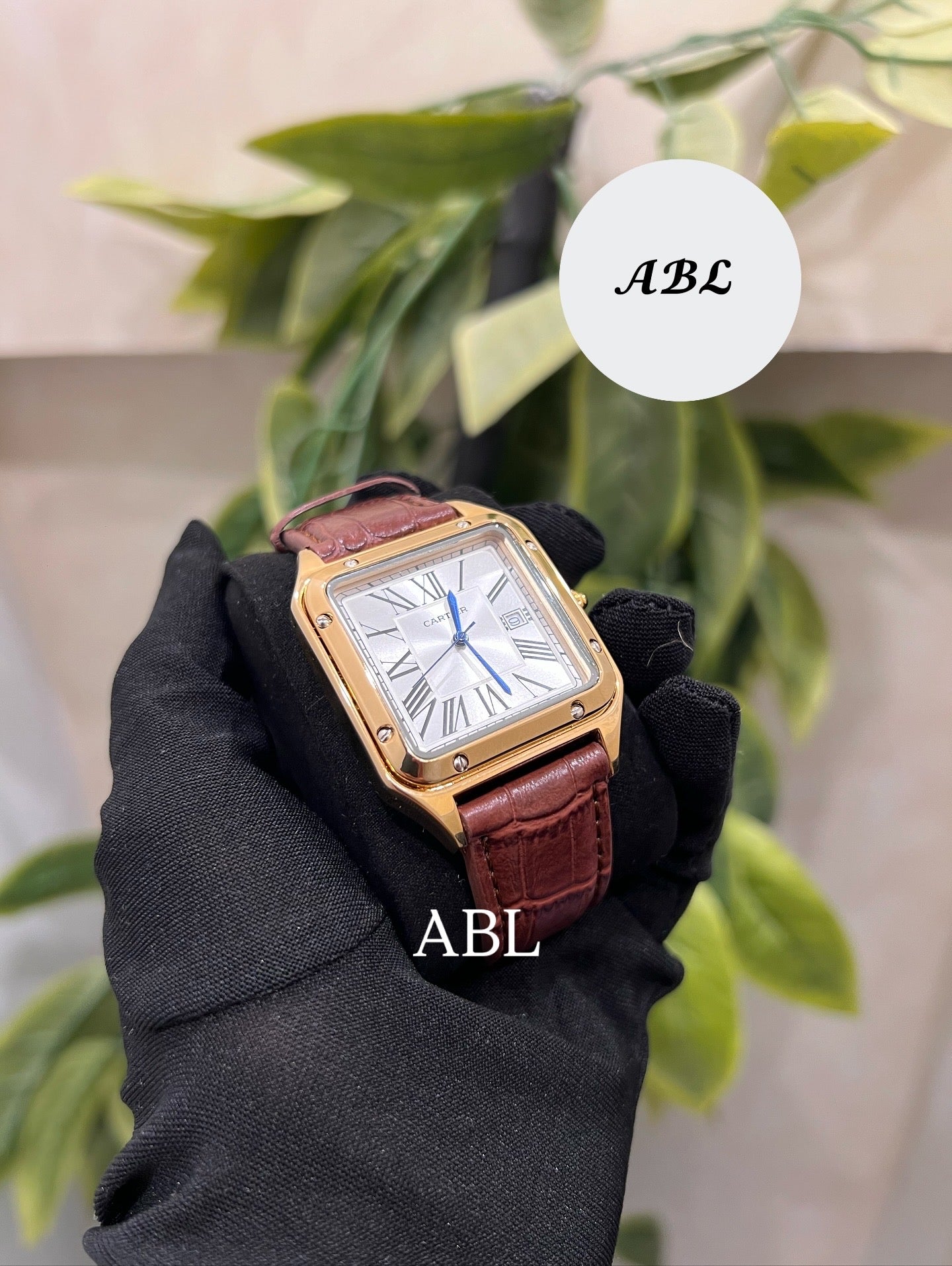 Cartier Santos